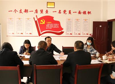 吴志强书记到首键药包指导党建工作